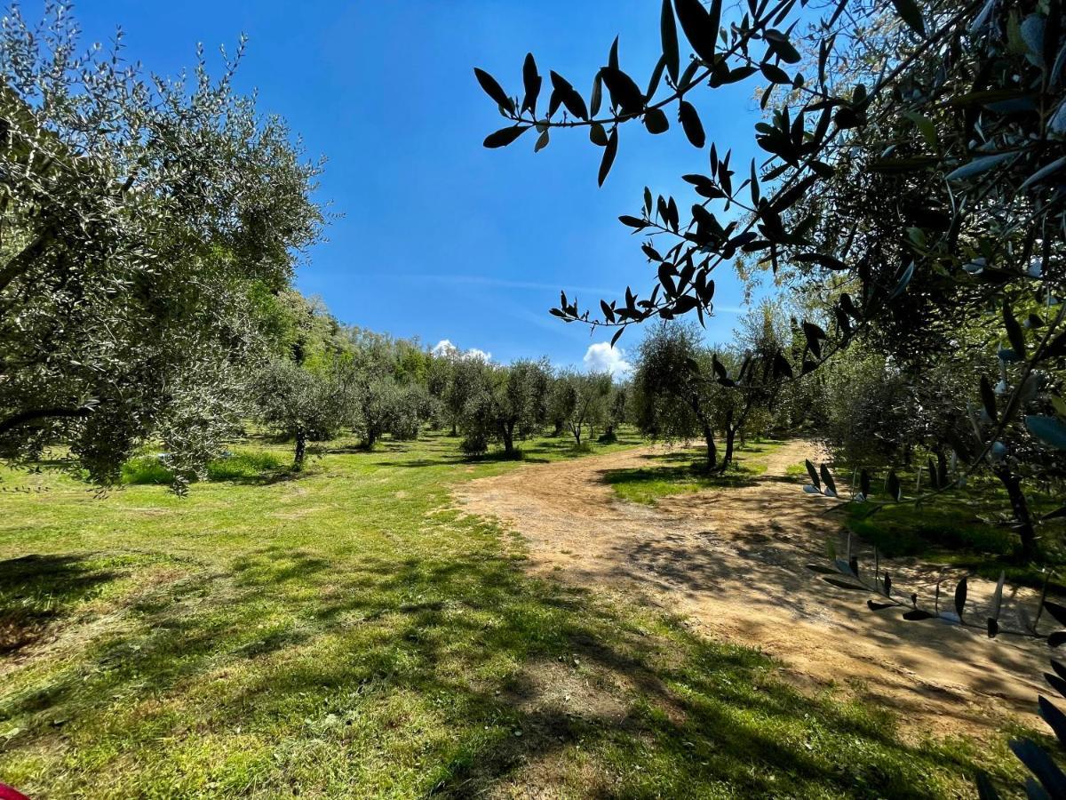 Podere il Casone Serravalle Pistoiese Esterno foto