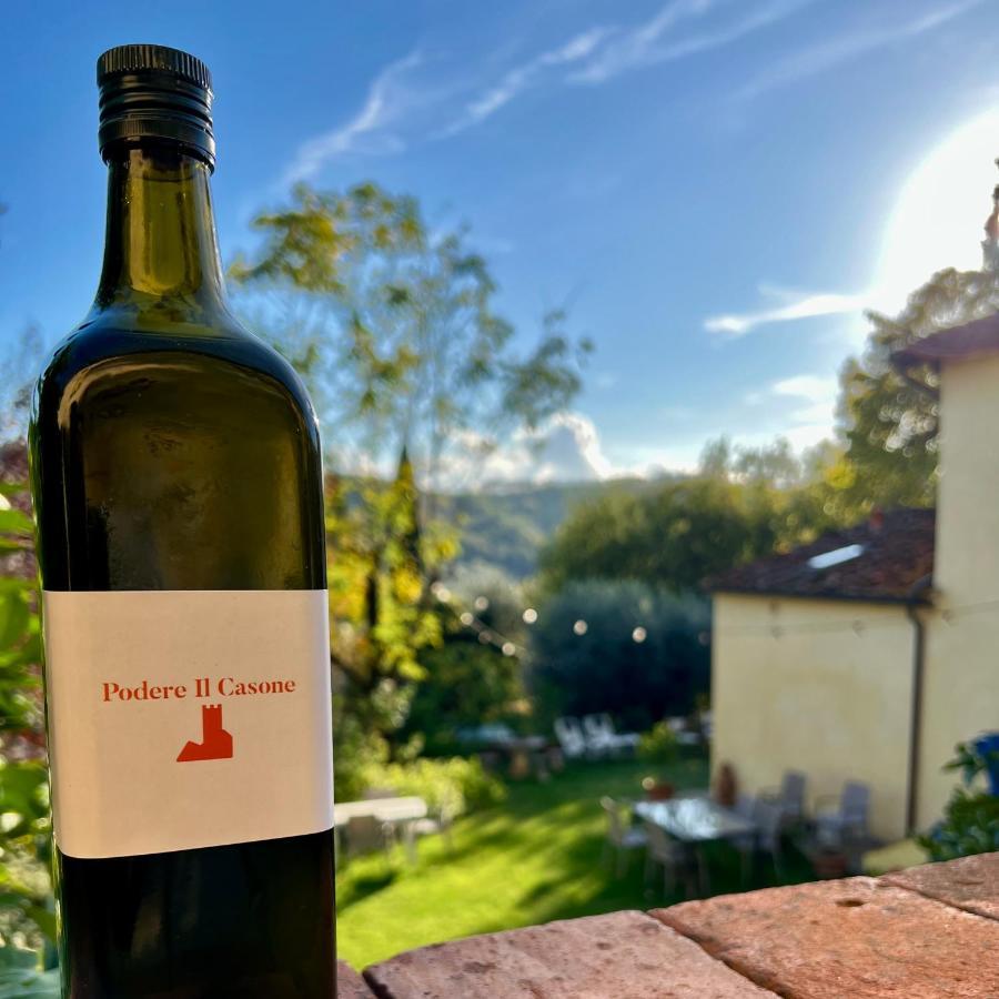 Podere il Casone Serravalle Pistoiese Esterno foto
